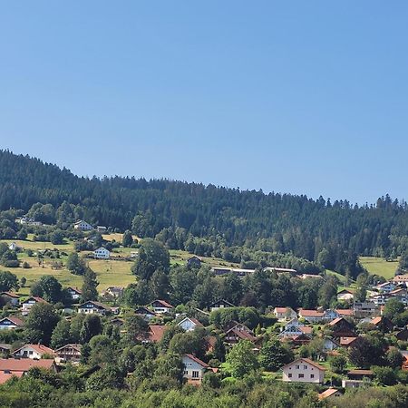 Le Tresor Des Vosges Appartement Spacieux Et Lumineux 80M2 - Jeux Arcades - Ideal Famille 4 A 6 Personnes Gerardmer Bagian luar foto