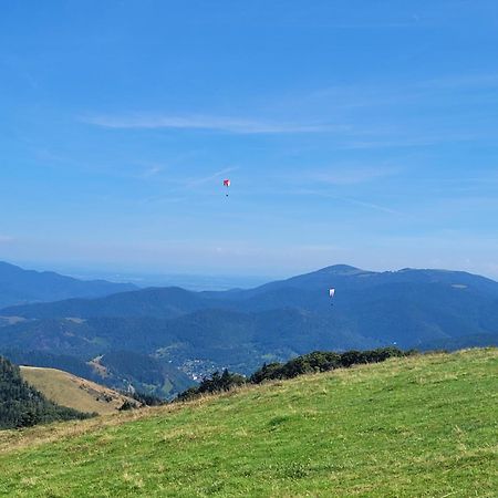 Le Tresor Des Vosges Appartement Spacieux Et Lumineux 80M2 - Jeux Arcades - Ideal Famille 4 A 6 Personnes Gerardmer Bagian luar foto