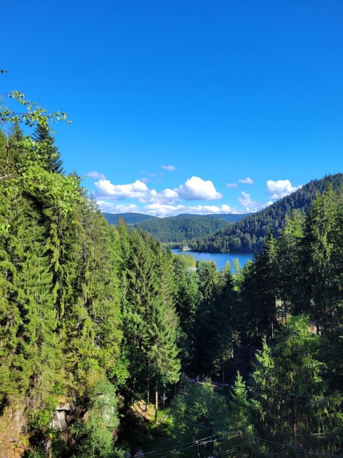 Le Tresor Des Vosges Appartement Spacieux Et Lumineux 80M2 - Jeux Arcades - Ideal Famille 4 A 6 Personnes Gerardmer Bagian luar foto