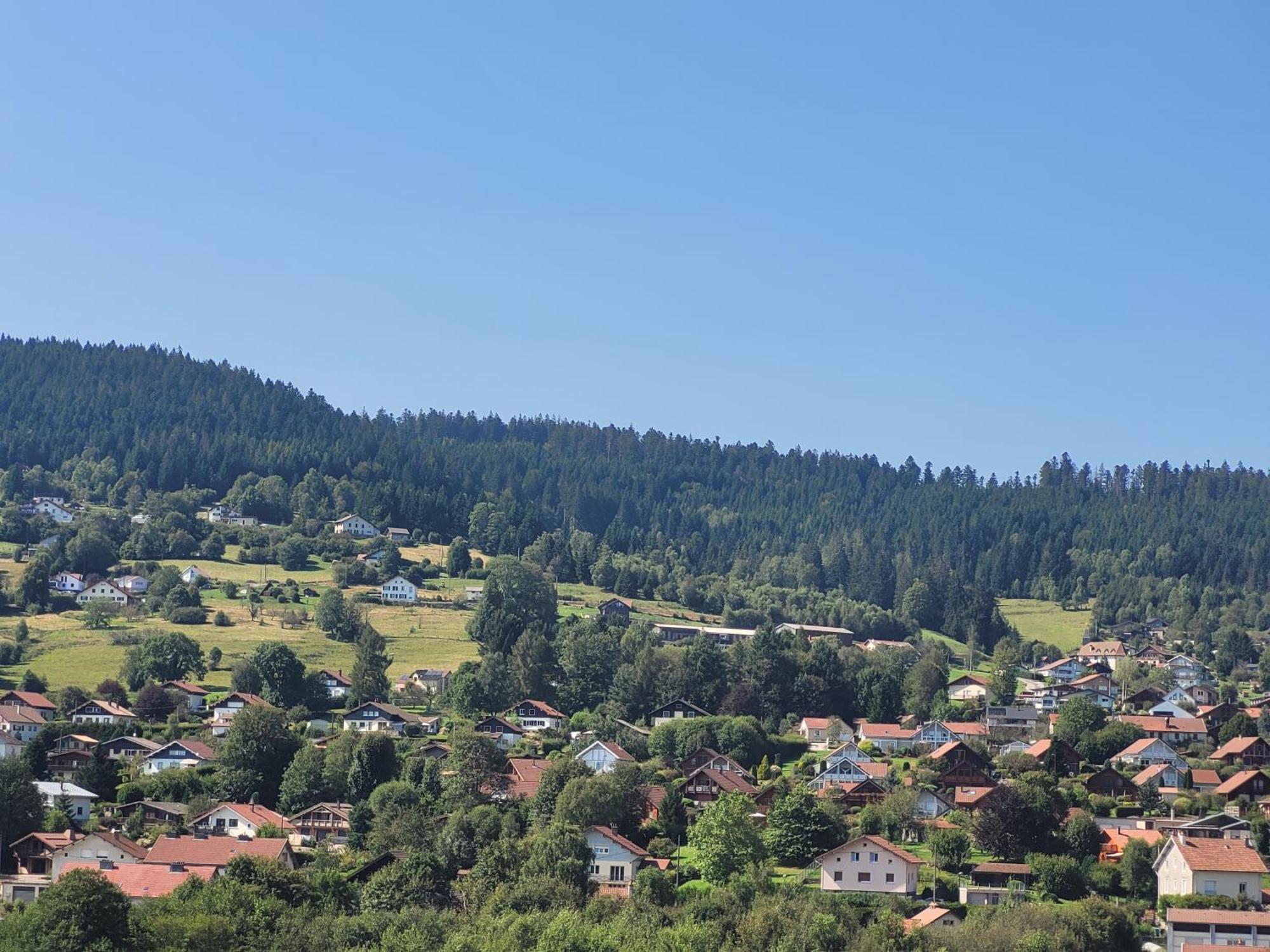 Le Tresor Des Vosges Appartement Spacieux Et Lumineux 80M2 - Jeux Arcades - Ideal Famille 4 A 6 Personnes Gerardmer Bagian luar foto